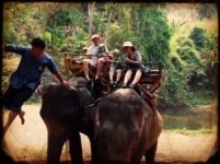 The whole family on elephants